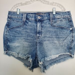 Torrid Shorts NWT 16
